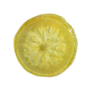 Rondelles de citron / vrac • 2,5kg • 40/50mm • Conditionnement par 5